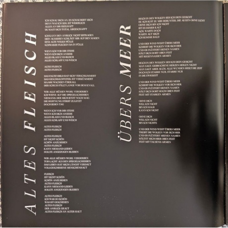 Till Lindemann - Zunge 2025 (4260639464529) виниловая пластинка - фото 8