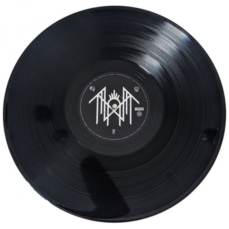 Sleep Token - Sundowning (0602577877759) виниловая пластинка - фото 6