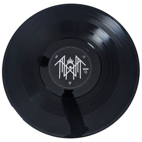 Sleep Token - Sundowning (0602577877759) виниловая пластинка - фото 8