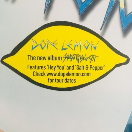 Dope Lemon - Smooth Big Cat (Picture) (4050538504187) виниловая пластинка - фото 7