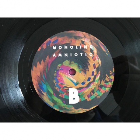 Monolink - Amniotic (5054197001475) виниловая пластинка - фото 9