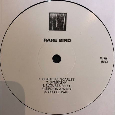 Rare Bird - Rare Bird (0889397839116) виниловая пластинка - фото 4