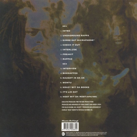 Das Efx - Straight Up Sewaside (8719262008854) виниловая пластинка - фото 2