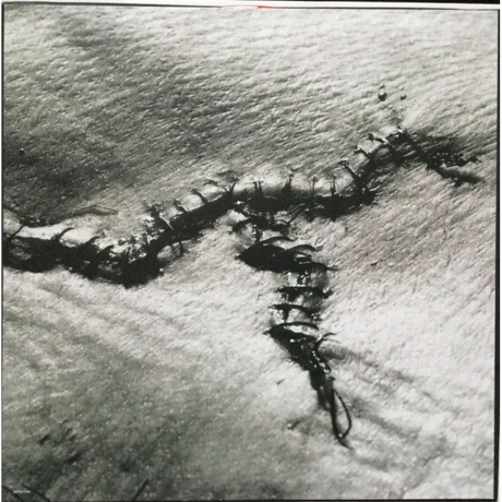 Ministry - Filth Pig (8718469536795) виниловая пластинка - фото 5