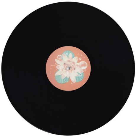 Bjork - Post (5016958041618) виниловая пластинка - фото 5