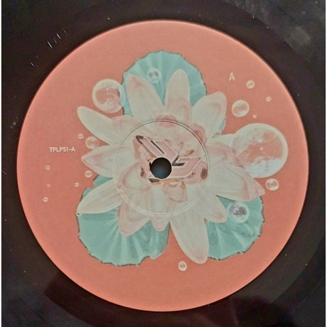 Bjork - Post (5016958041618) виниловая пластинка - фото 6