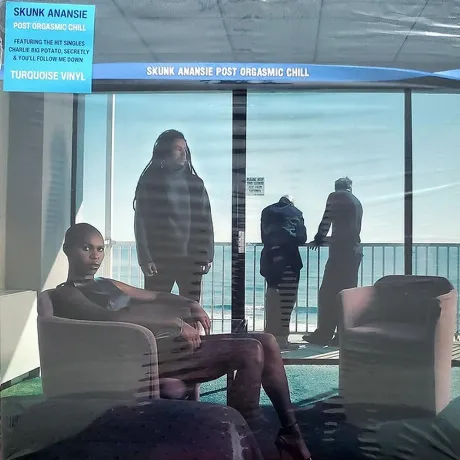 Skunk Anansie - Post Orgasmic Chill (Turquoise) (5060204808319) ...