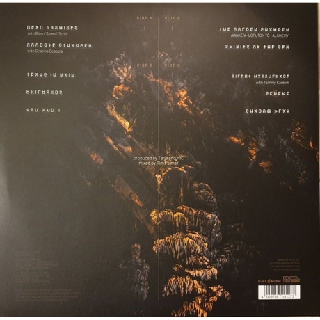 Tarja - In The Raw (4029759141273) виниловая пластинка - фото 2