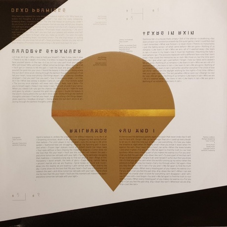 Tarja - In The Raw (4029759141273) виниловая пластинка - фото 6