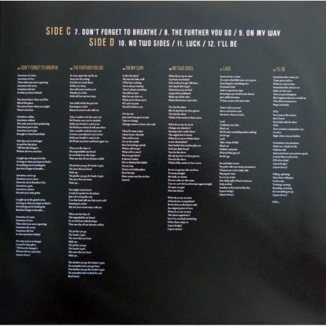 Saga - Sagacity (4029759094586) виниловая пластинка - фото 11