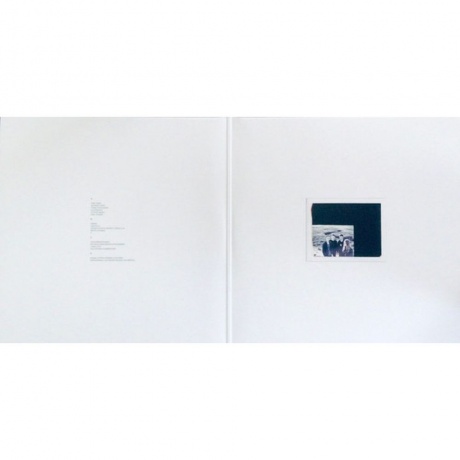 These New Puritans - Hidden (Mmxx) (0887830016414) виниловая пластинка - фото 7