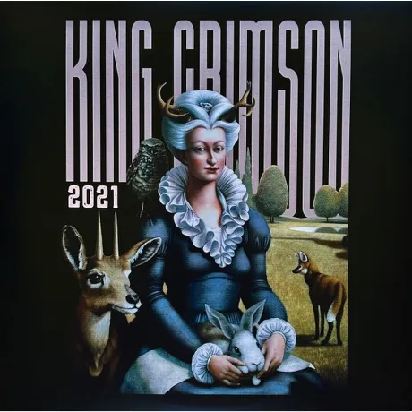 King Crimson - Music Is Our Friend: Live In Washington And Alban...