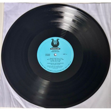 Catalyst - Perception (Analogue, Jazz Dispensary) (0888072669277) виниловая пластинка - фото 3