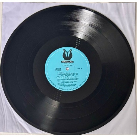 Catalyst - Perception (Analogue, Jazz Dispensary) (0888072669277) виниловая пластинка - фото 4