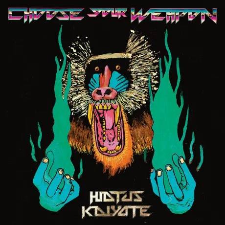 Hiatus Kaiyote - Choose Your Weapon (Coloured) (5054429152562) в...