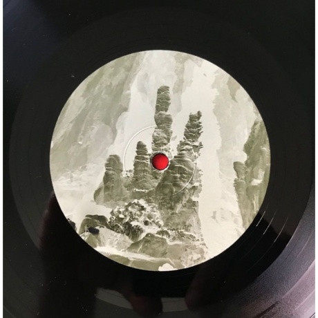 Jarv Is… - Beyond The Pale (0191402012910) виниловая пластинка - фото 4