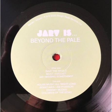 Jarv Is… - Beyond The Pale (0191402012910) виниловая пластинка - фото 5