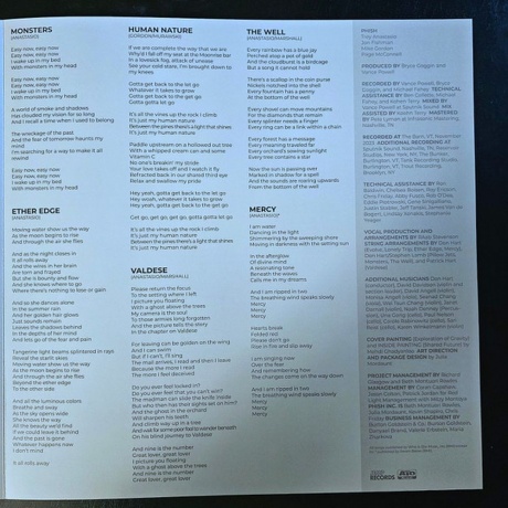 Phish - Evolve (Coloured) (0880882630317) виниловая пластинка - фото 7