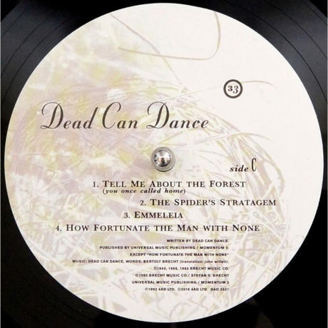 Dead Can Dance - Into The Labyrinth (0652637362114) виниловая пластинка - фото 7