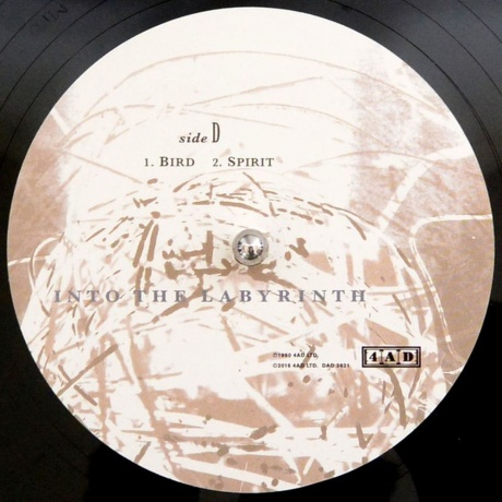 Dead Can Dance - Into The Labyrinth (0652637362114) виниловая пластинка - фото 8