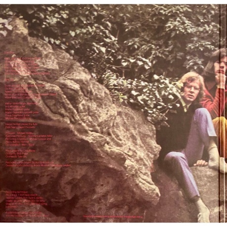 Steamhammer - Reflection (Coloured) (4009910248614) виниловая пластинка - фото 2