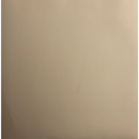 Bloc Party - Silent Alarm (Coloured) (5400863170370) виниловая пластинка - фото 6