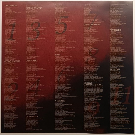 Despised Icon - Shadow Work (4065629750510) виниловая пластинка - фото 3