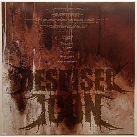 Despised Icon - Shadow Work (4065629750510) виниловая пластинка - фото 4