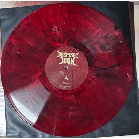 Despised Icon - Shadow Work (4065629750510) виниловая пластинка - фото 5