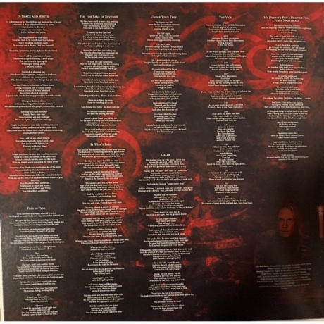 Sonata Arctica - Unia (0727361572112) виниловая пластинка - фото 5