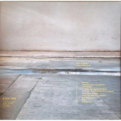 Maribou State - Hallucinating Love (5054429174281) виниловая пластинка - фото 2