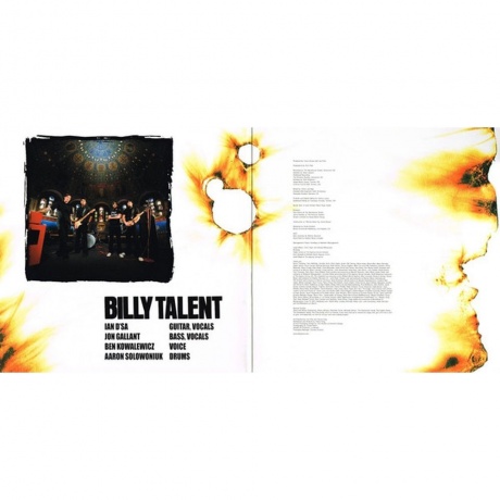 Billy Talent - Ii (8719262018488) виниловая пластинка - фото 2