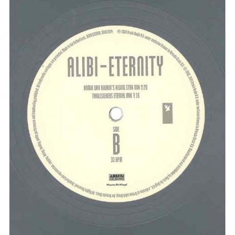 Dj Alibi - Eternity (V12) (Coloured) (8719262038974) виниловая пластинка - фото 4