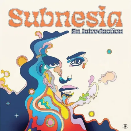 Subnesia - An Introduction (0784987078541) виниловая пластинка