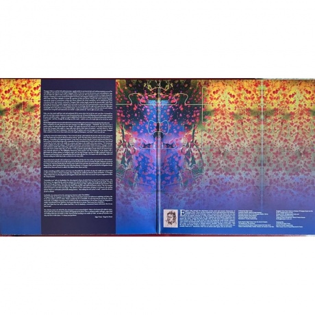 Tangerine Dream - Finnegans Wake (0802644822716) виниловая пластинка - фото 2