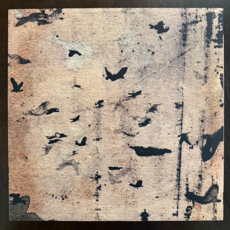 Sigur Ros - Takk… (5021732530882) виниловая пластинка - фото 11