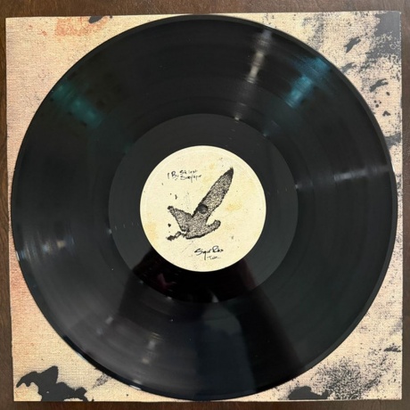 Sigur Ros - Takk… (5021732530882) виниловая пластинка - фото 9