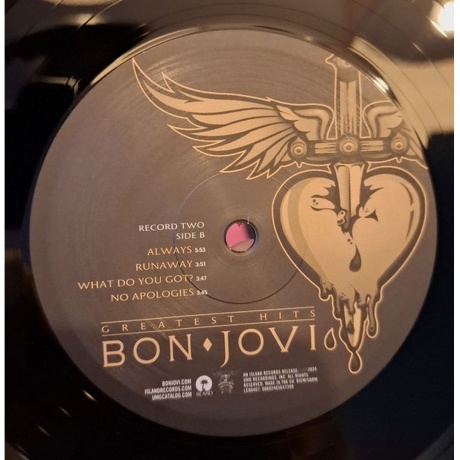 Bon Jovi - Greatest Hits (0602465647358) виниловая пластинка - фото 6