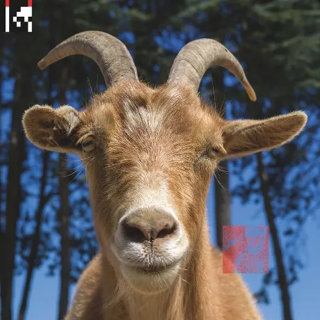 Agoria - .Dev (Coloured) (4251804127677) виниловая пластинка