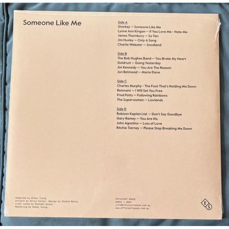Various Artists - Someone Like Me (4251804180269) виниловая пластинка - фото 2