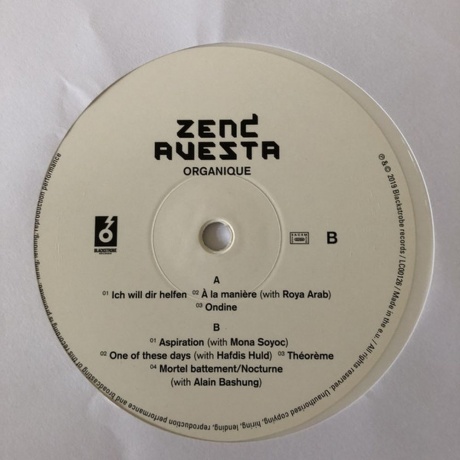 Zend Avesta - Organique (Coloured) (3516628286414) виниловая пластинка - фото 5