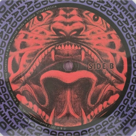 Trivium - Struck Dead (Ep) (0075678592591) виниловая пластинка - фото 7