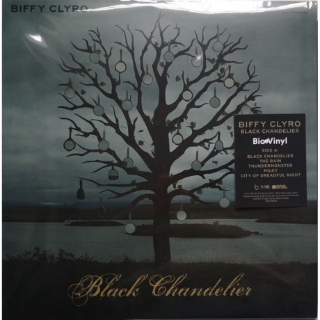 Biffy Clyro - Black Chandelier/ Biblical (5054197569784) виниловая пластинка - фото 3