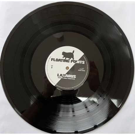Floating Points - Lazarus (Ost) (0198029333411) виниловая пластинка - фото 5