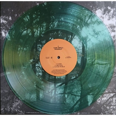 Tame Impala - Deadbeat (Coloured) (0198029781618) виниловая пластинка - фото 4
