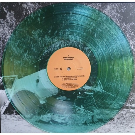 Tame Impala - Deadbeat (Coloured) (0198029781618) виниловая пластинка - фото 6