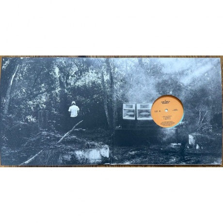 Tame Impala - Deadbeat (Coloured) (0198029781618) виниловая пластинка - фото 7