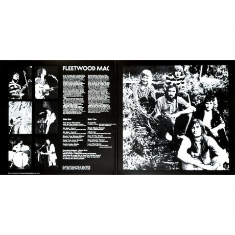 Fleetwood Mac - Greatest Hits (0198029549010) виниловая пластинка - фото 5