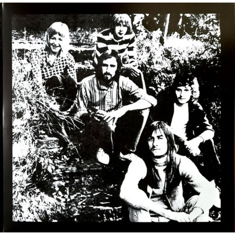 Fleetwood Mac - Greatest Hits (0198029549010) виниловая пластинка - фото 7