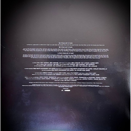 La Roux - La Roux (0805520240055) виниловая пластинка - фото 5